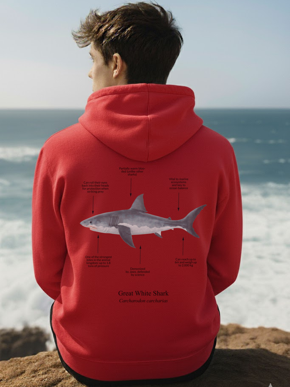 Hoodie (NEW) Tiburón Blanco