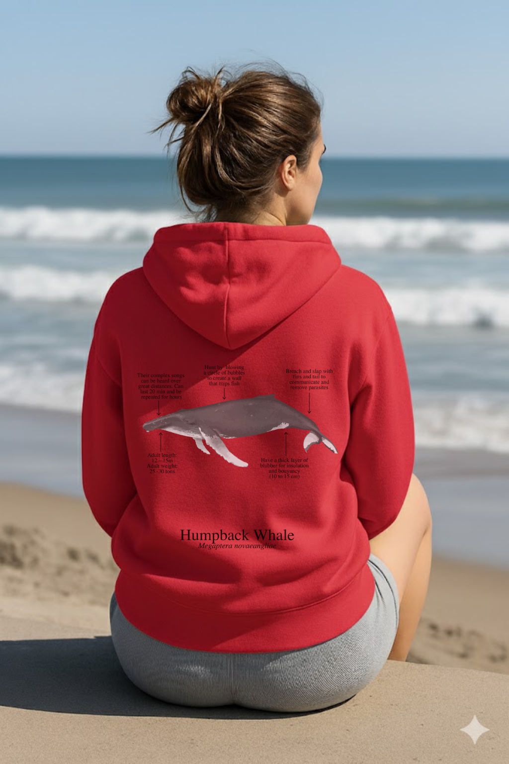 Hoodie (NEW) Ballena Jorobada colores claros