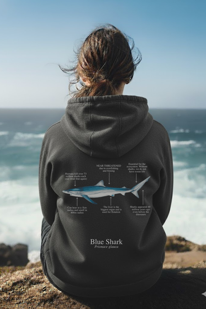 Hoodie (NEW) Tiburón Azul colores oscuros
