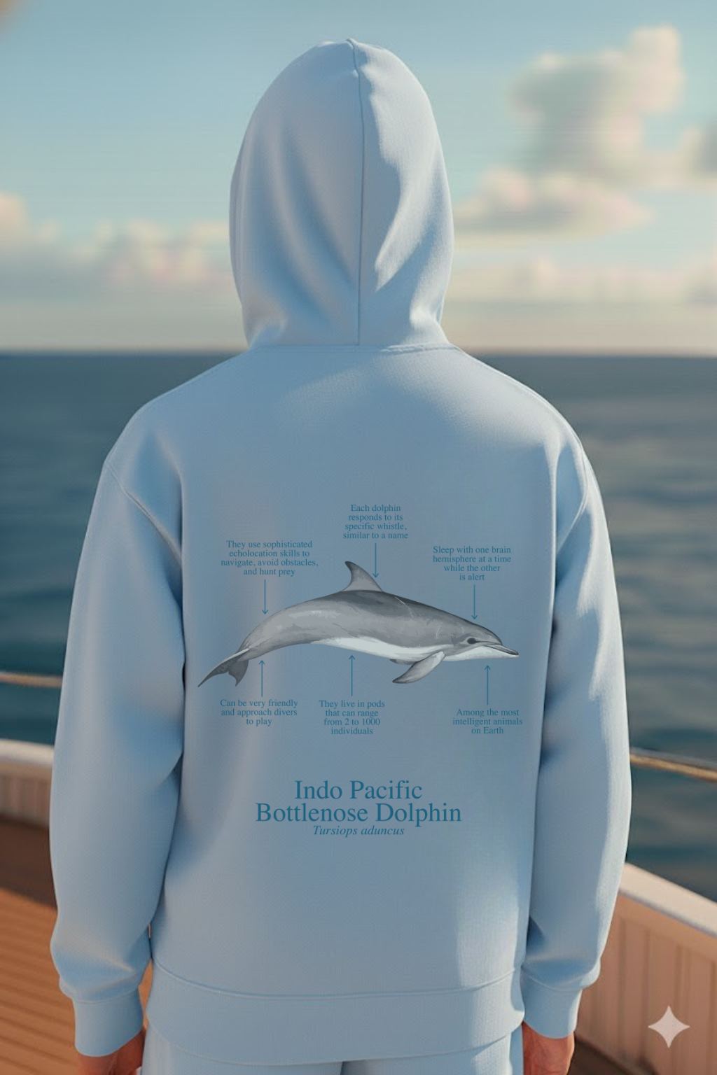 Hoodie (NEW) delfín colores claros