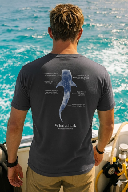 Camiseta 100% algodón - Tiburón ballena colores oscuros