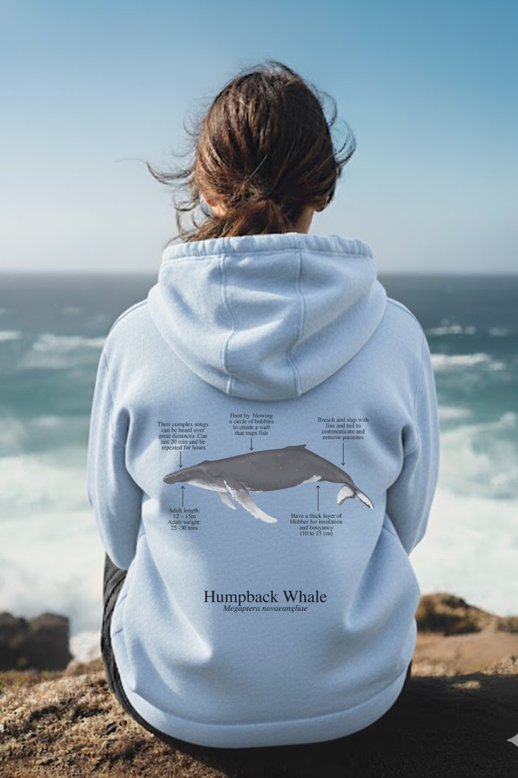 Hoodie (NEW) Ballena Jorobada colores claros