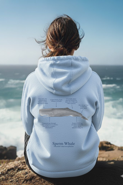 Hoodie (NEW) Cachalote