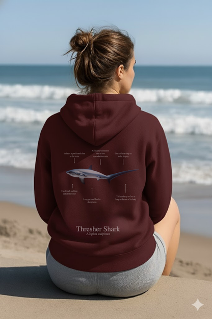 Hoodie (NEW) Tiburón Zorro