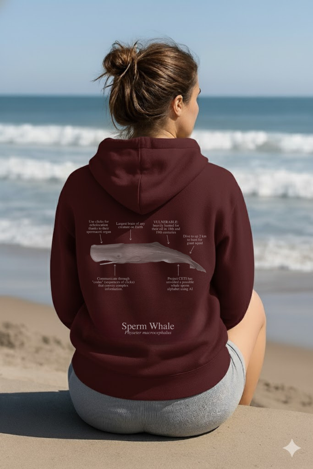 Hoodie (NEW) Cachalote colores oscuros