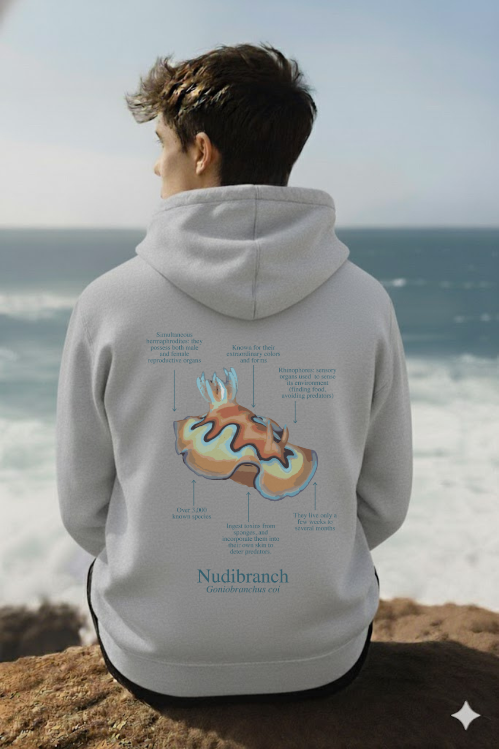 Hoodie (NEW) Nudi colores claros