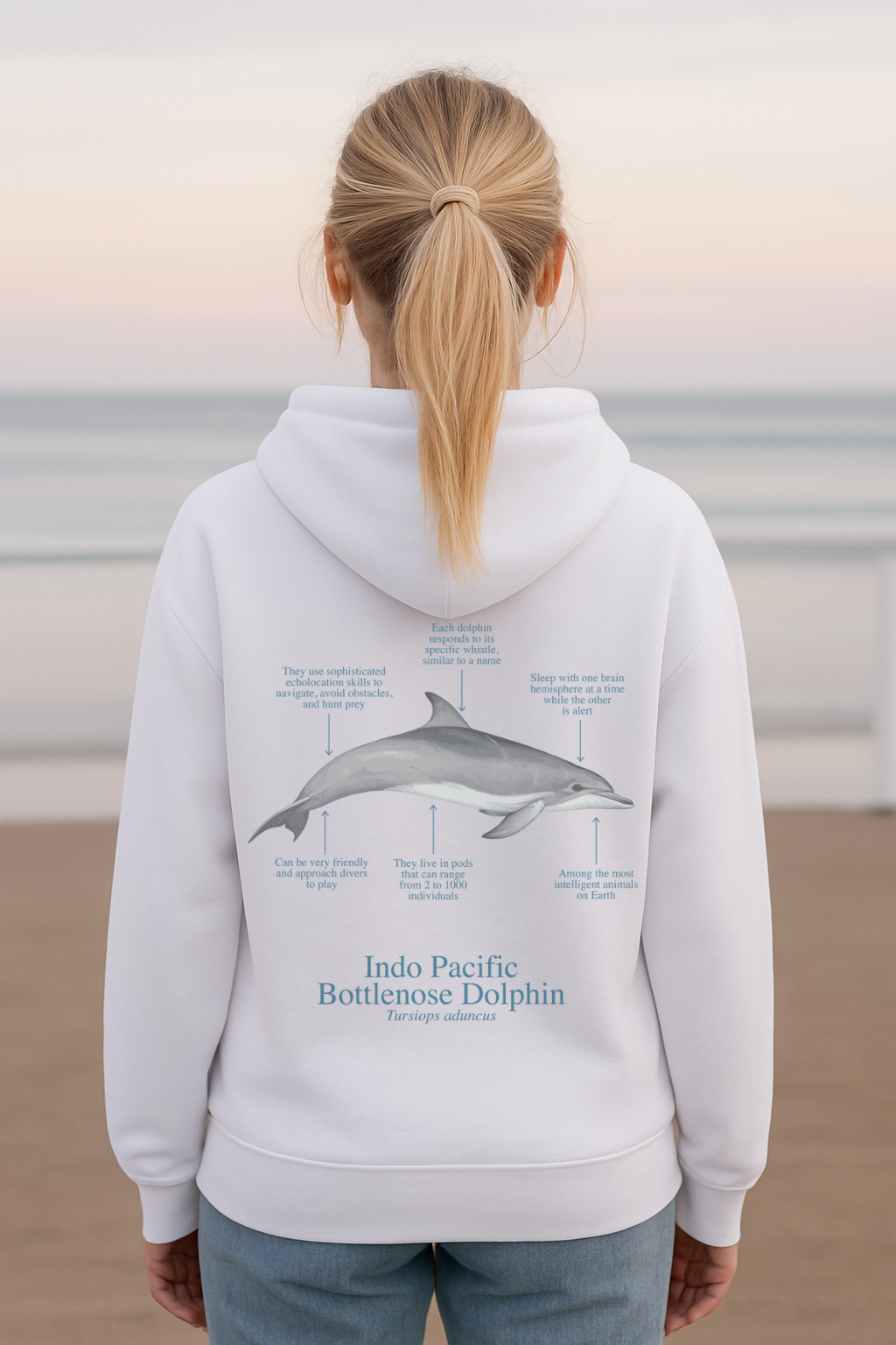 Hoodie (NEW) delfín colores claros