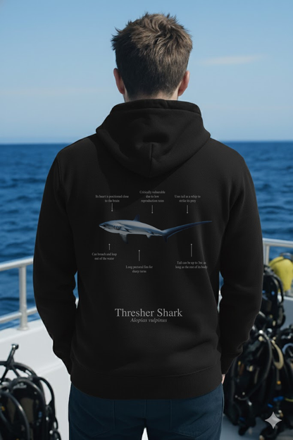 Hoodie (NEW) Tiburón Zorro