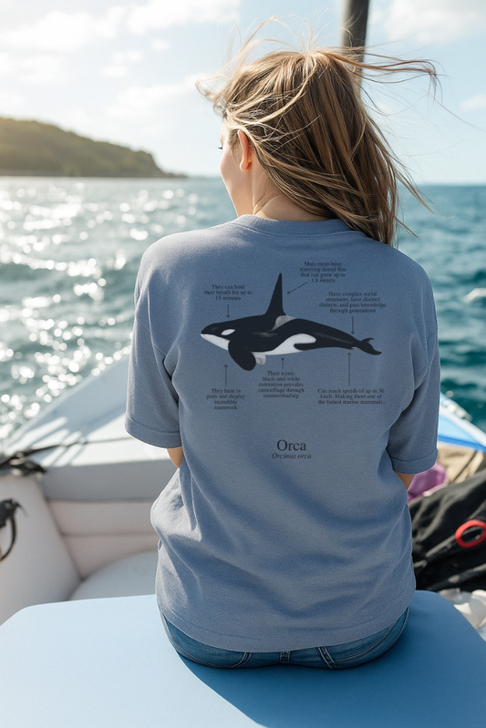 Camiseta de 100% algodón - Orca - Unisex