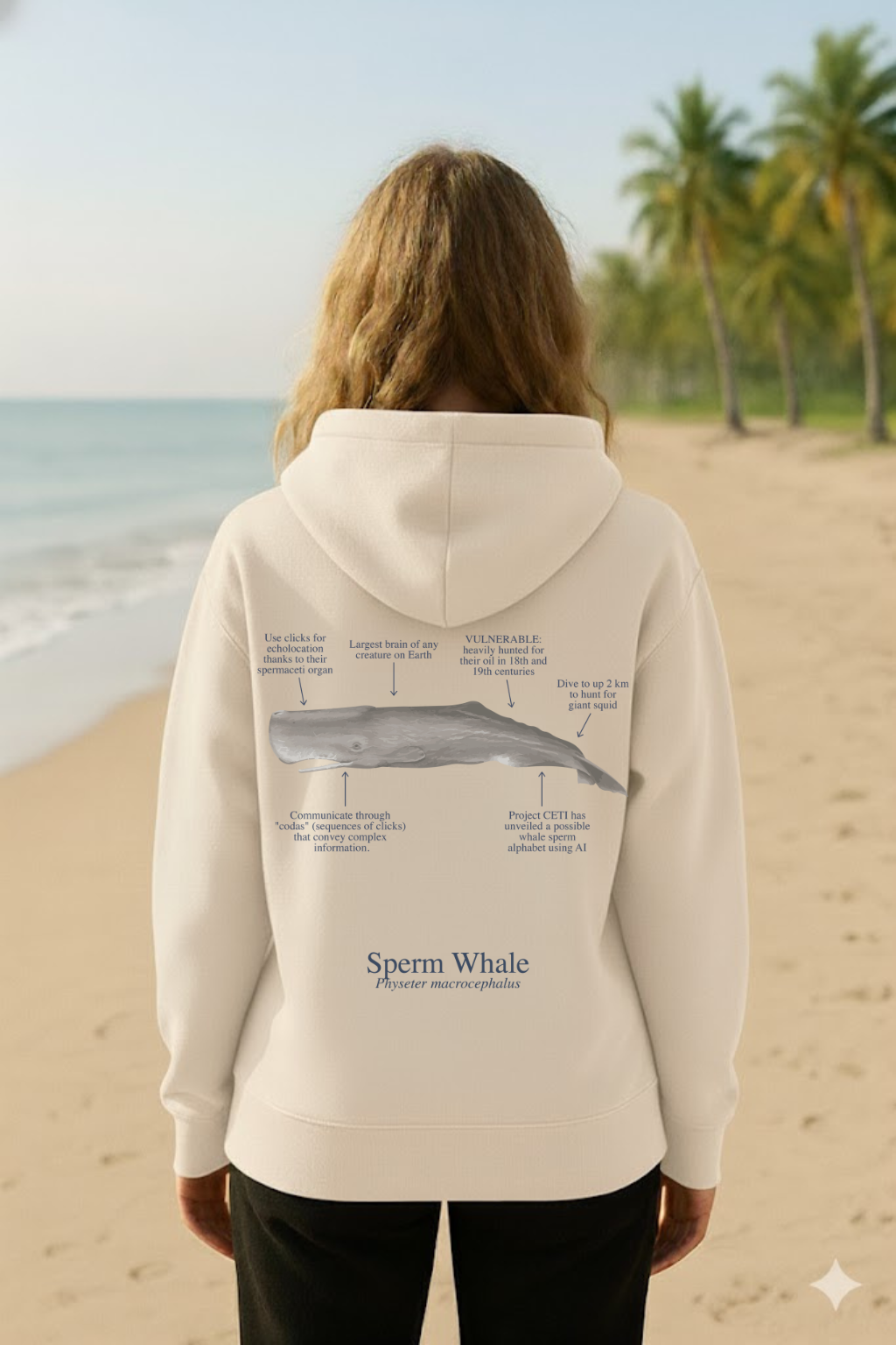 Hoodie (NEW) Cachalote