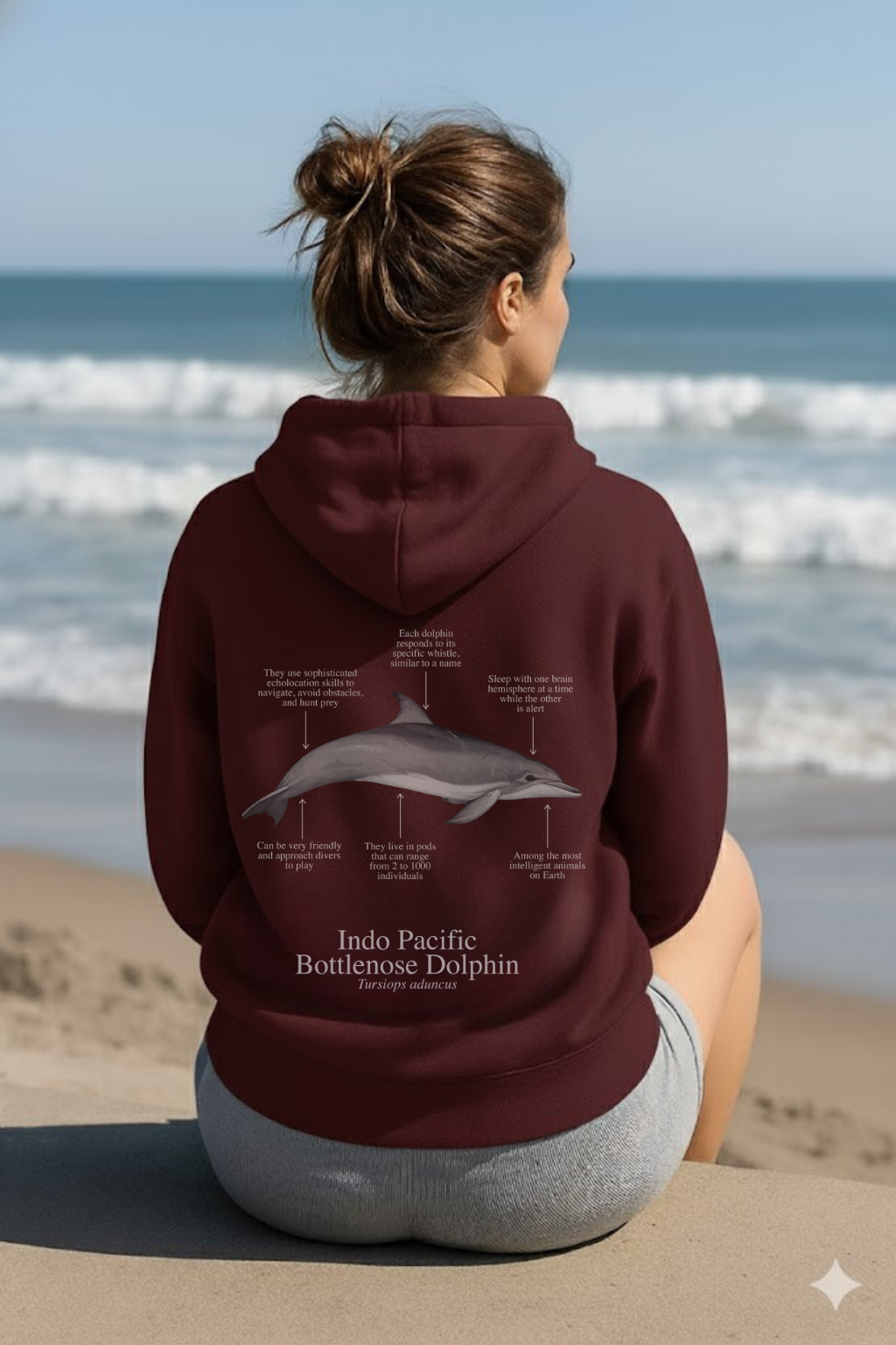 Hoodie (NEW) Delfín colores oscuros