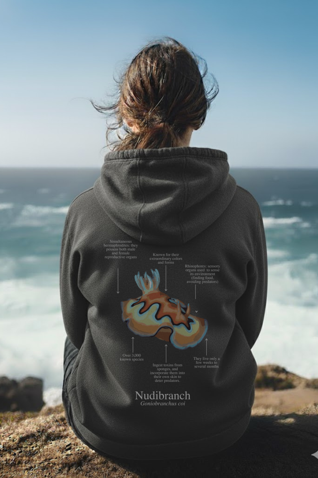 Hoodie (NEW) Nudi colores oscuros