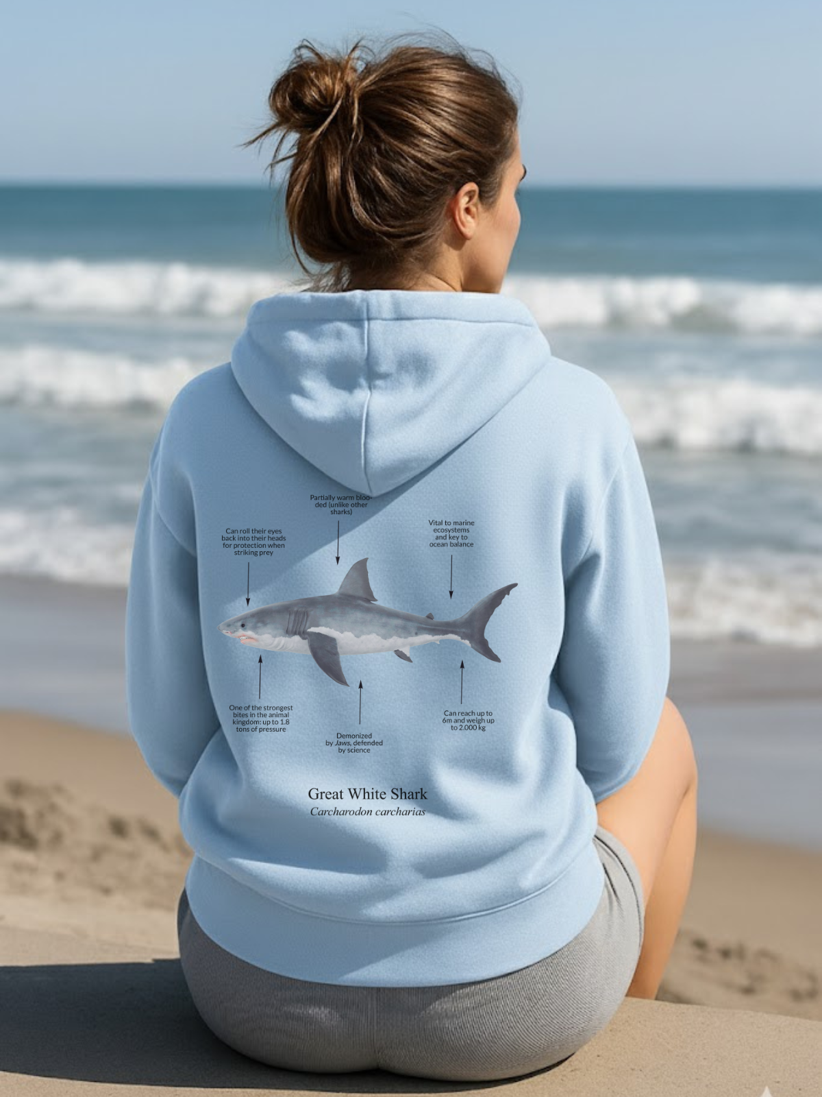 Hoodie (NEW) Tiburón Blanco