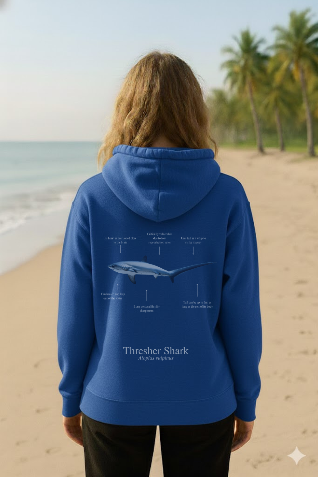 Hoodie (NEW) Tiburón Zorro