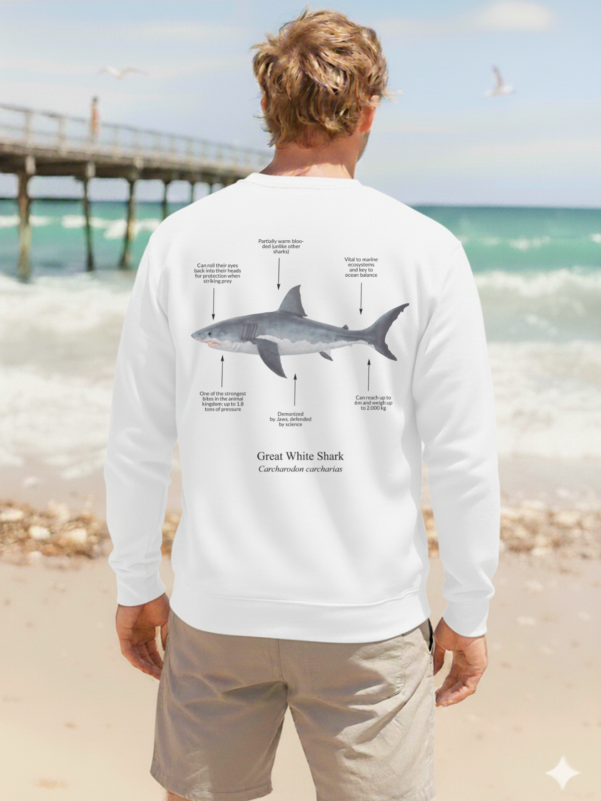 Sudadera sin capucha Tiburón Blanco