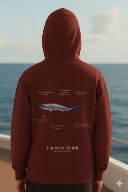 Hoodie (NEW) Tiburón Zorro