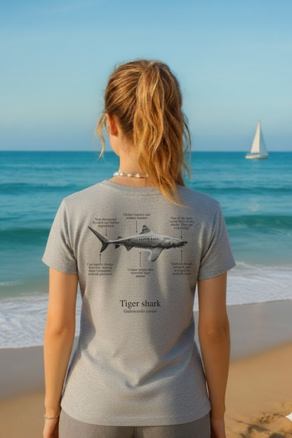 Camiseta de 100% algodón - Tiburón Tigre - Unisex