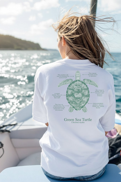 Camiseta 100% algodón Tortuga - colores claros - unisex