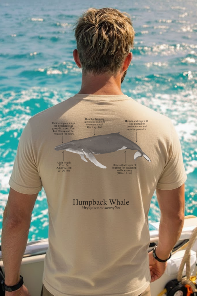 Camiseta 100% algodón Ballena Jorobada - colores claros - unisex