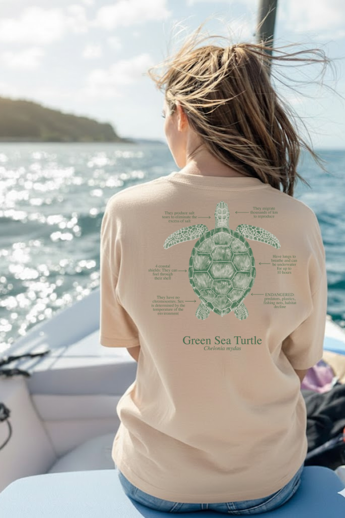 Camiseta 100% algodón Tortuga - colores claros - unisex