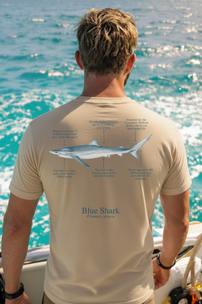 Camiseta 100% algodón Tiburón azul - colores claros - unisex