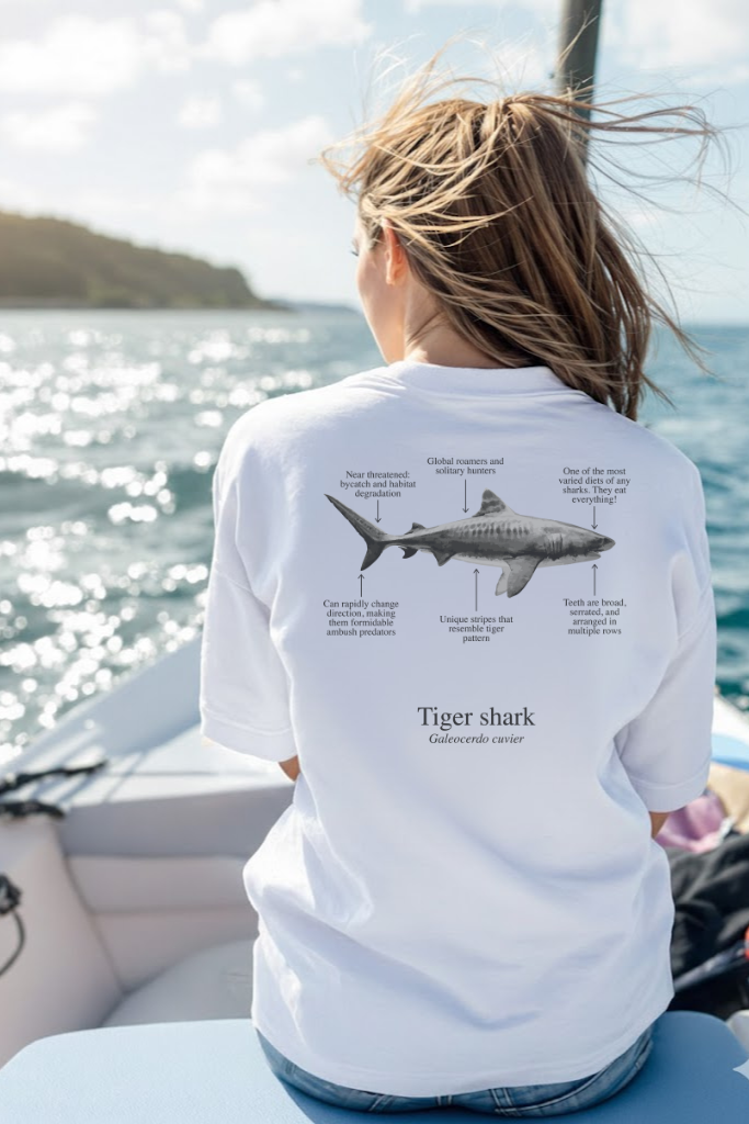 Camiseta de 100% algodón - Tiburón Tigre - Unisex