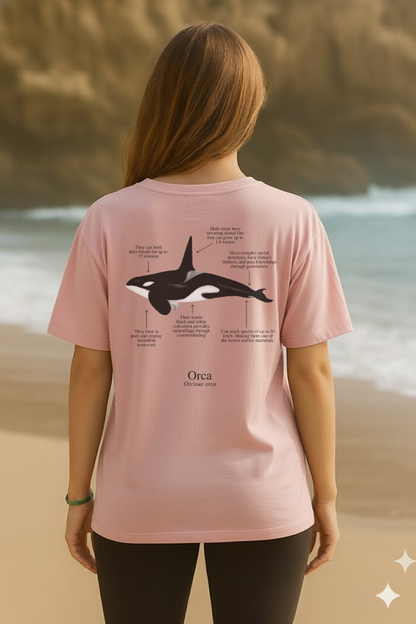 Camiseta de 100% algodón - Orca - Unisex
