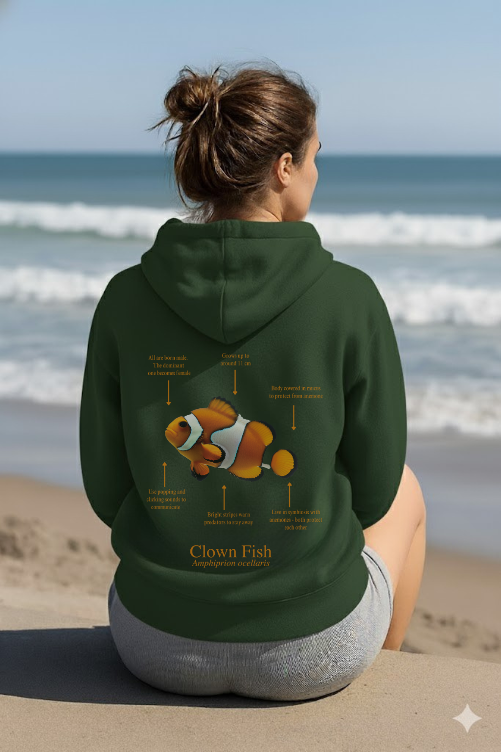 Hoodie (NEW) Pez payaso