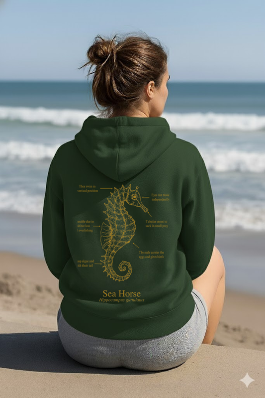 Hoodie (NEW) Caballito