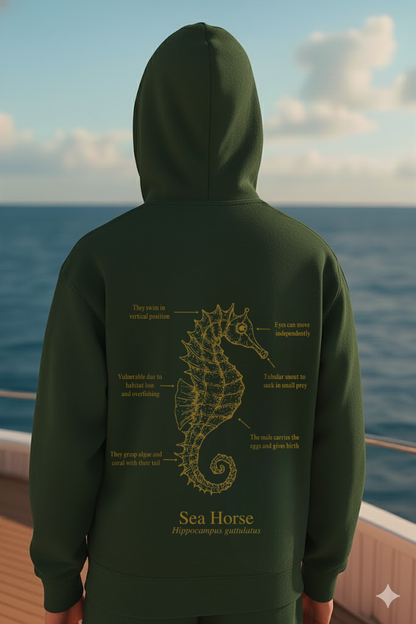 Hoodie (NEW) Caballito