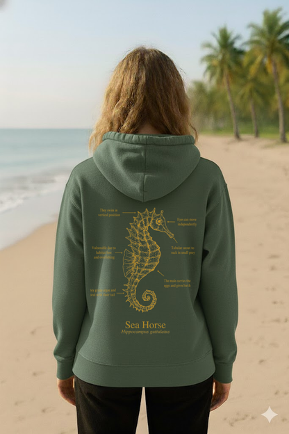 Hoodie (NEW) Caballito