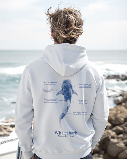 Hoodie (NEW) Tiburón Ballena colores claros