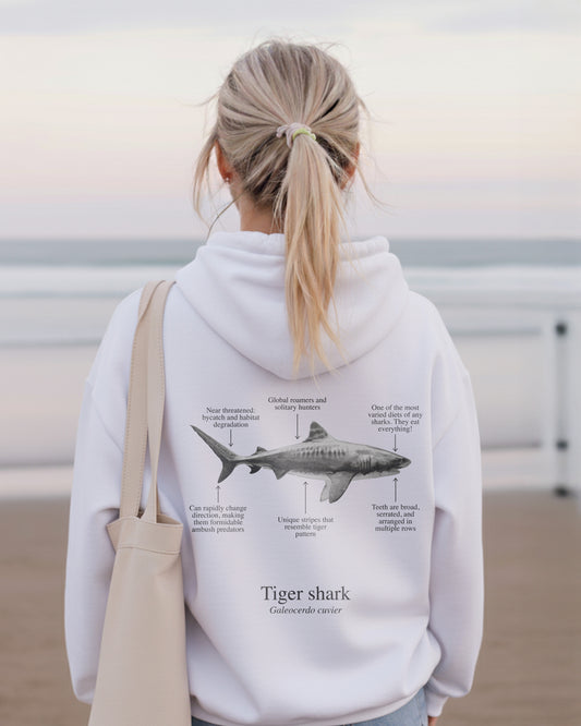 Hoodie (NEW) Tiburón Tigre