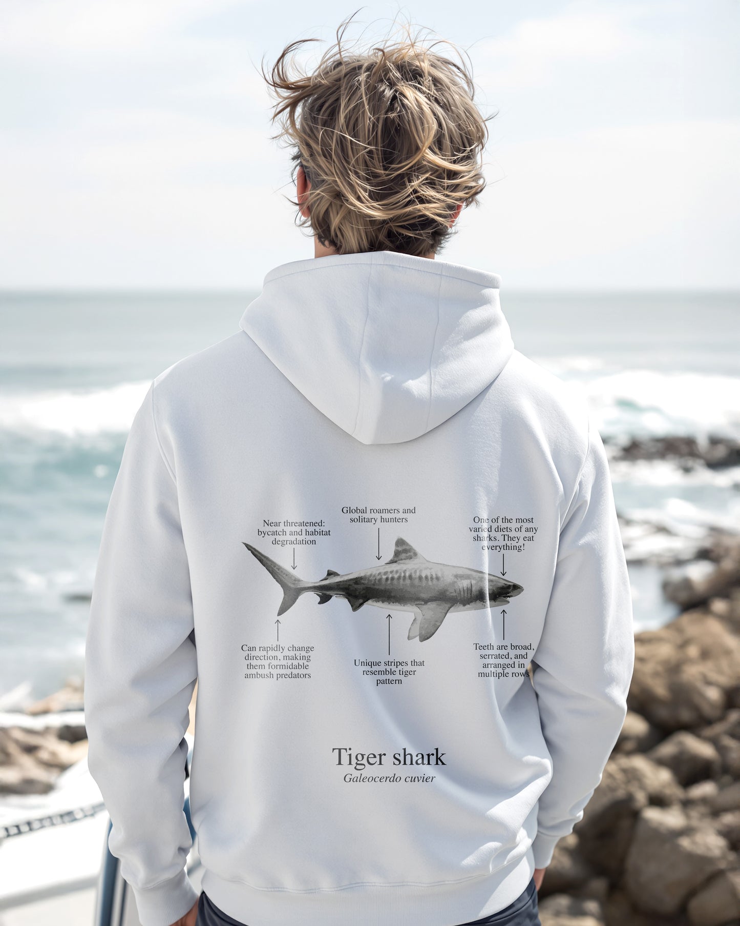 Hoodie (NEW) Tiburón Tigre