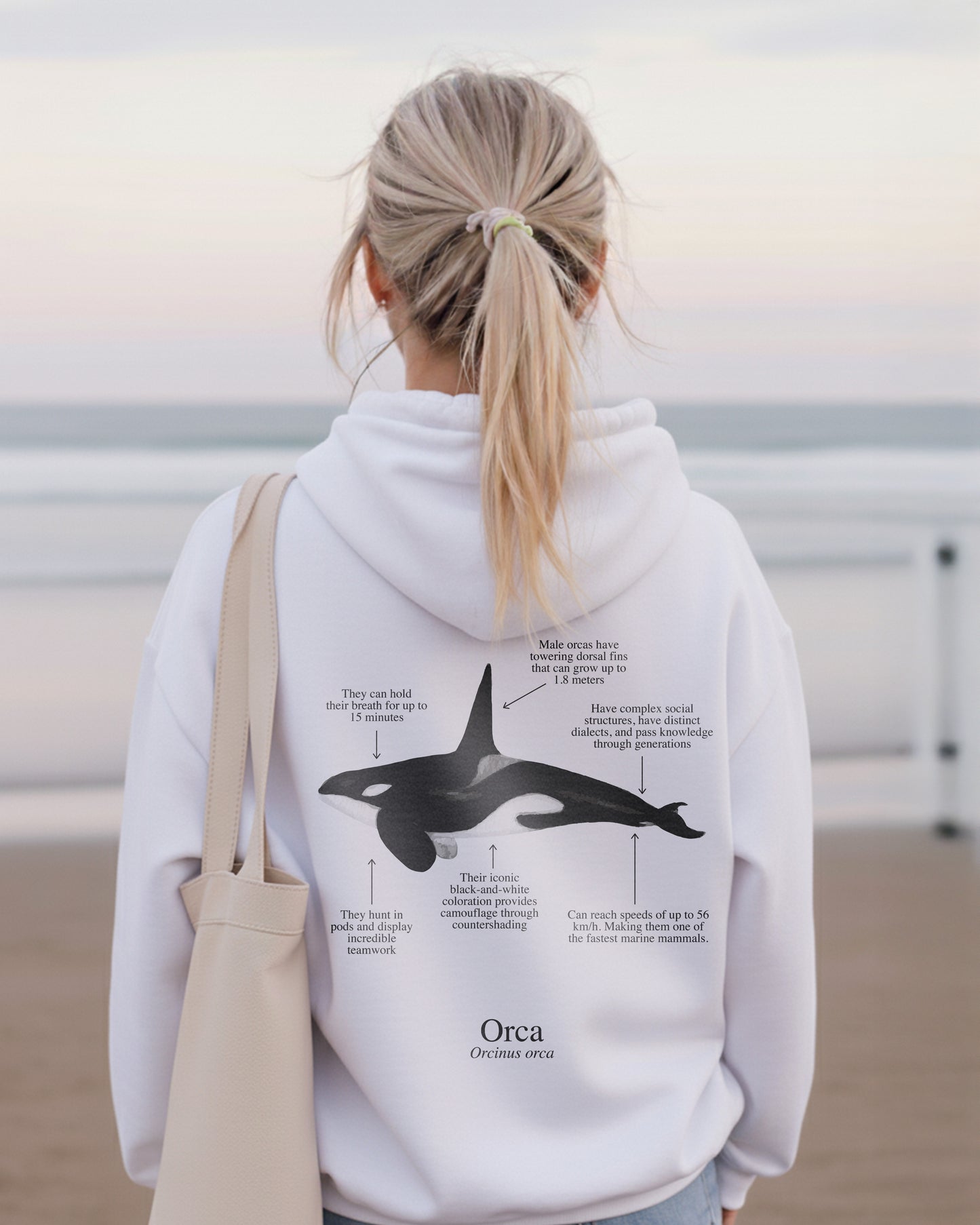 Orca Hoodie (NEW) Colores claros