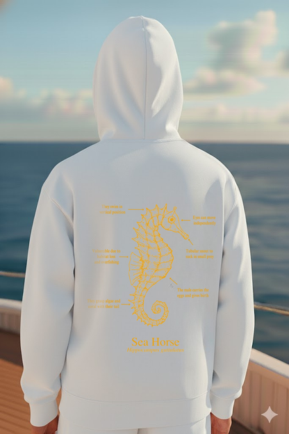 Hoodie (NEW) Caballito