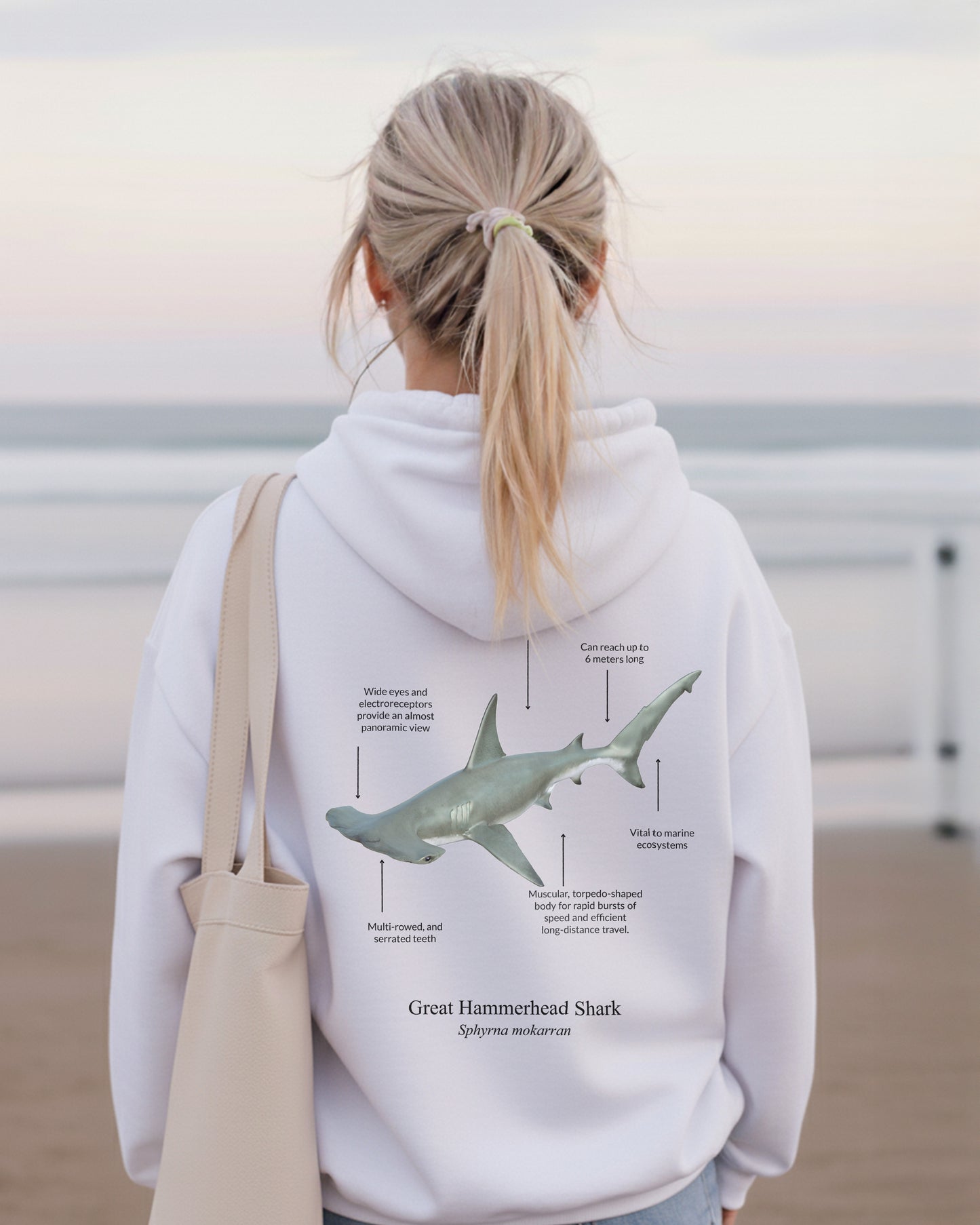 Hoodie (NEW) Tiburón Martillo Colores claros