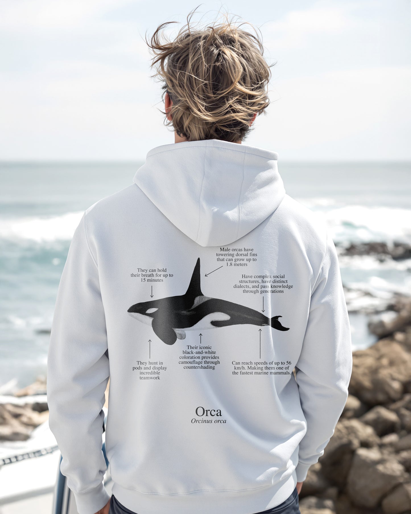 Orca Hoodie (NEW) Colores claros