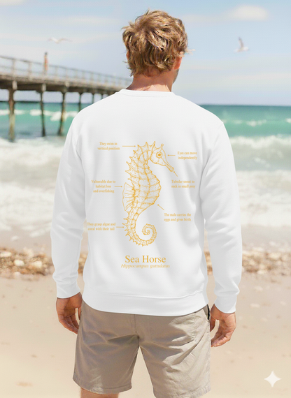Sudadera ligera verano ECO -  Caballito mar