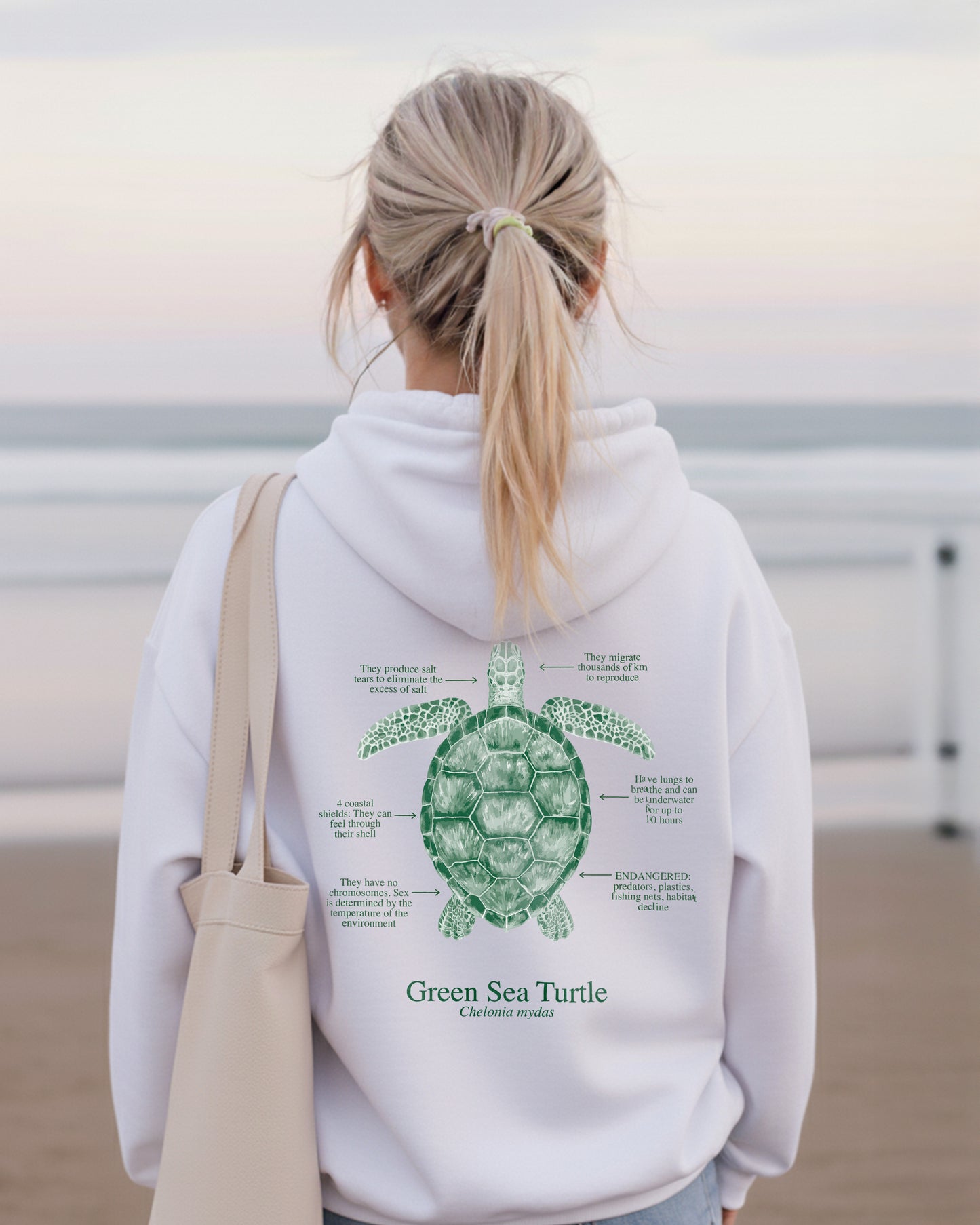 Hoodie (NEW) Tortuga colores claros