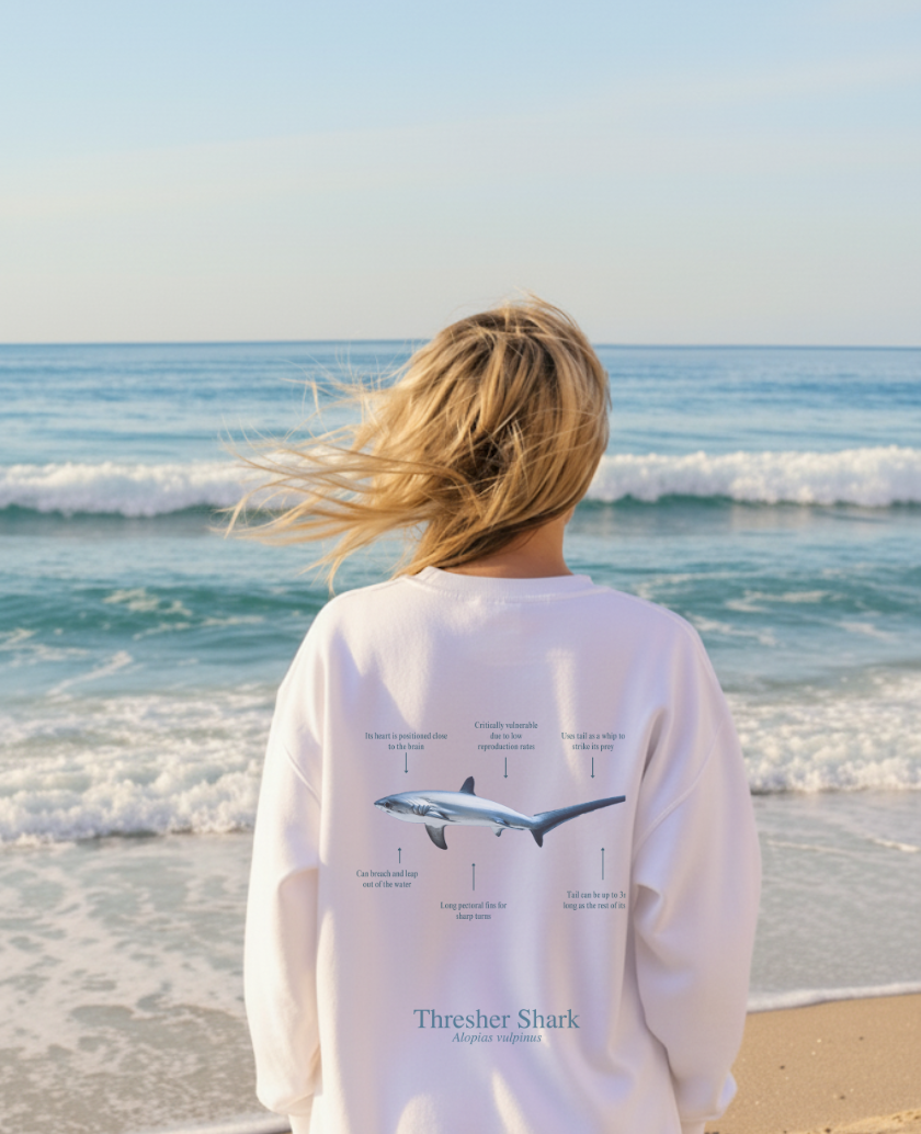 Sudadera premium Tiburón Zorro - colores claros