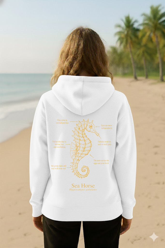 Hoodie (NEW) Caballito