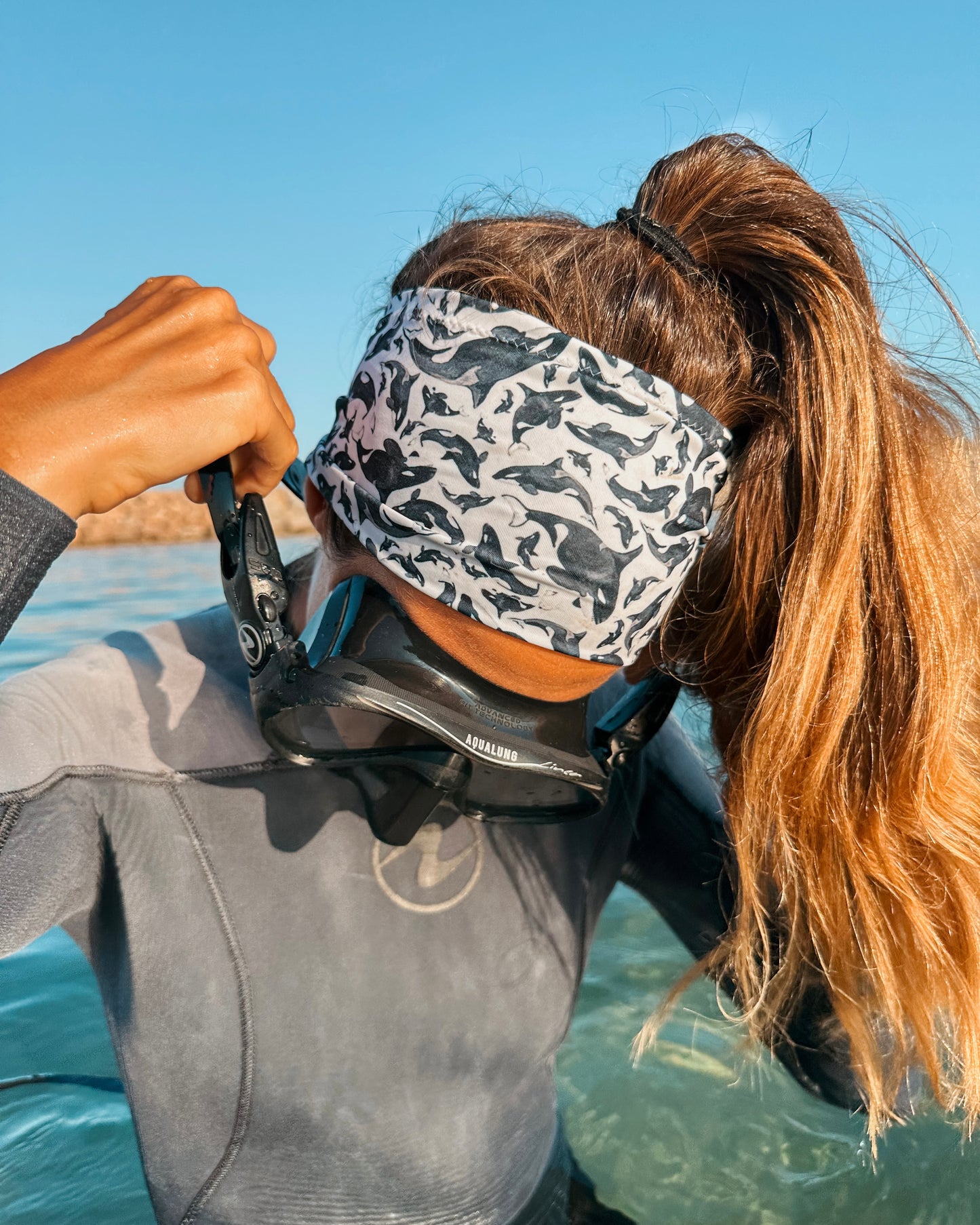 PACK 3 cintas para el pelo: Orca, Tiburón Martillo, Tiburón Ballena