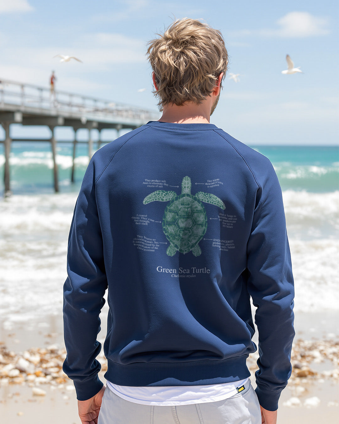 Sudadera ligera de verano ECO Tortuga