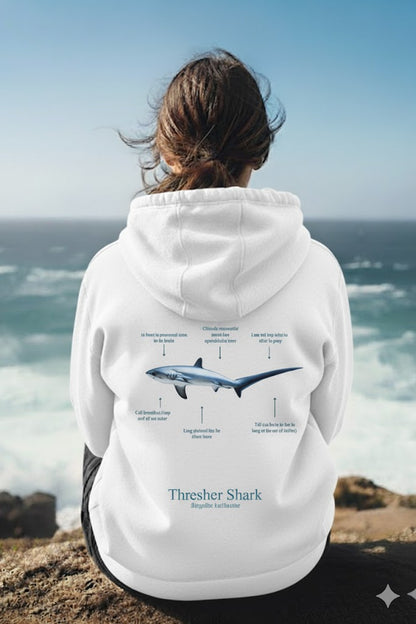 Hoodie (NEW) Tiburón Zorro colores claros