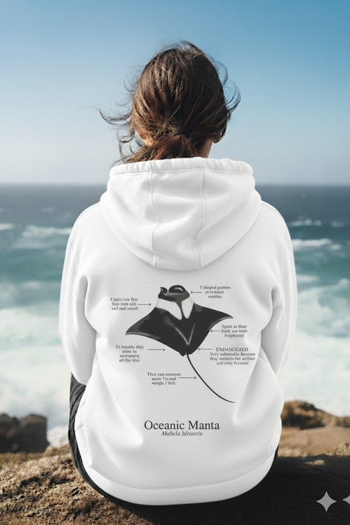 Hoodie (NEW) Manta colores claros