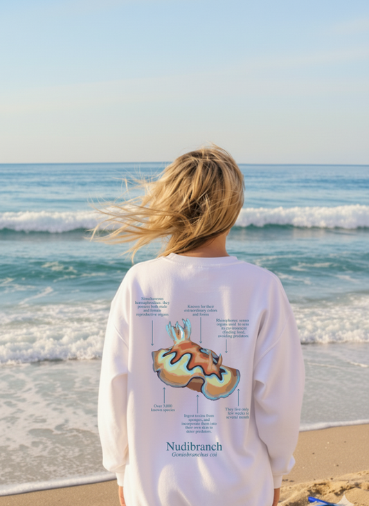 Sudadera premium Nudibranquio - colores claros